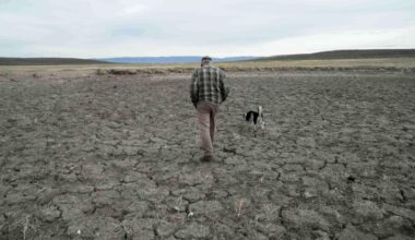 Record drought hits US, which is bad for food prices, fires and water