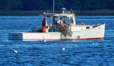 Many factors go into what makes seafood 'sustainable'