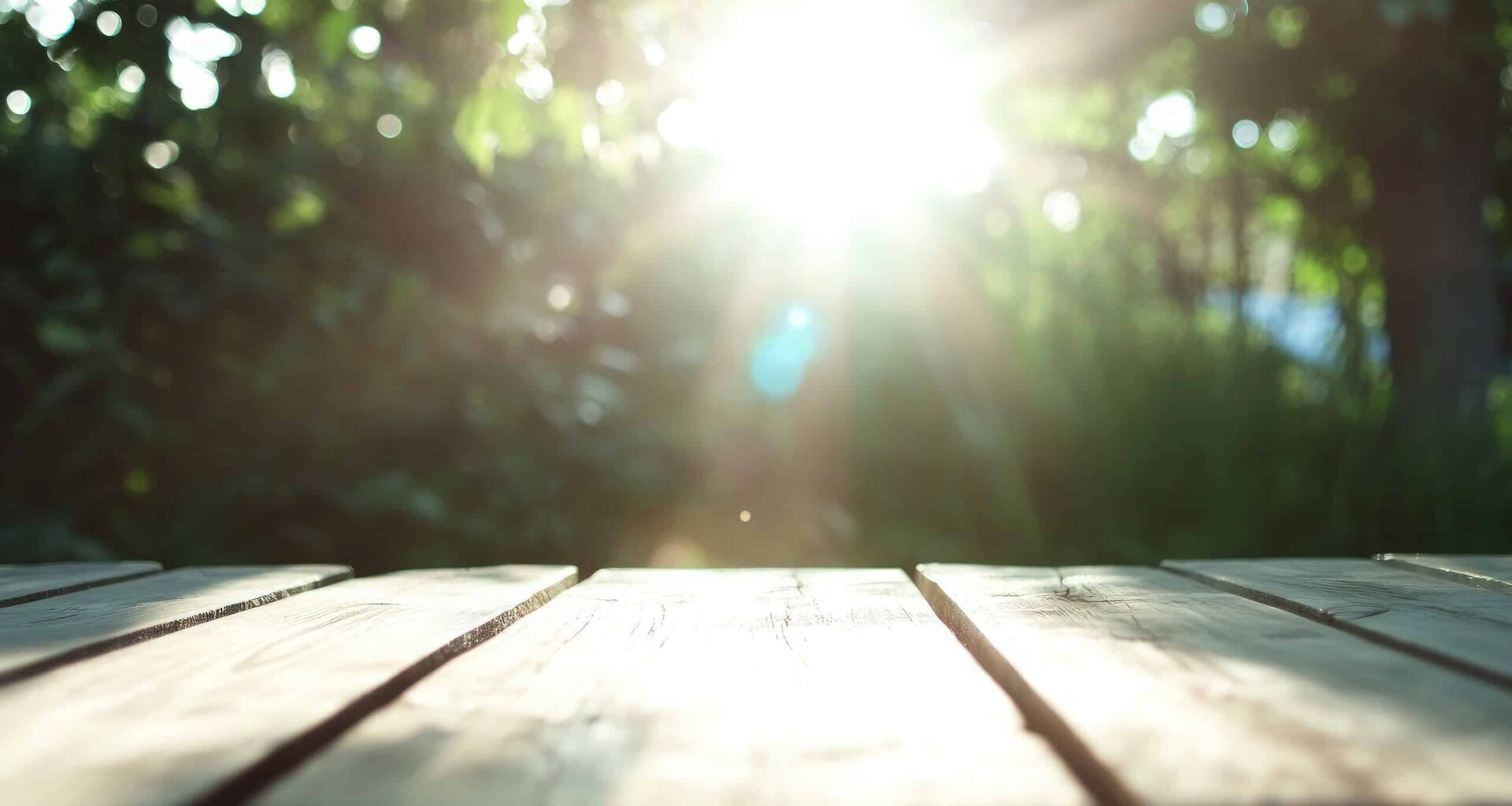 Scientists Generate Solar Power After Dark by Turning Balsa Wood into a Heat-Absorbing Sponge