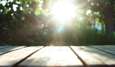 Scientists Generate Solar Power After Dark by Turning Balsa Wood into a Heat-Absorbing Sponge