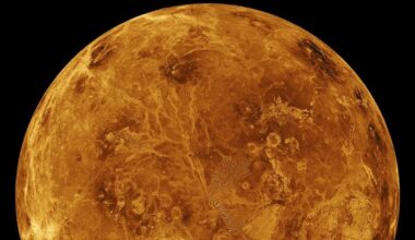 If Venus Has Life It May Have Come From Earth, Scientists Say : ScienceAlert