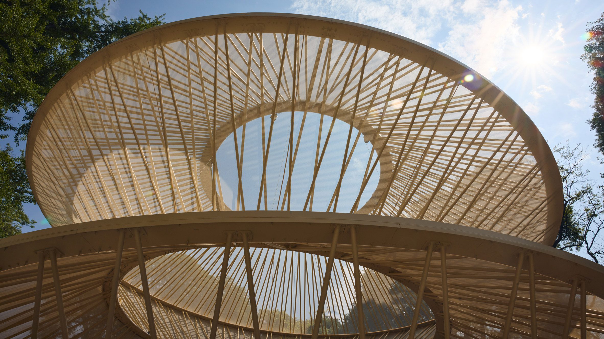 View looking up through the pavilion's radial timber lattice structure with circular openings