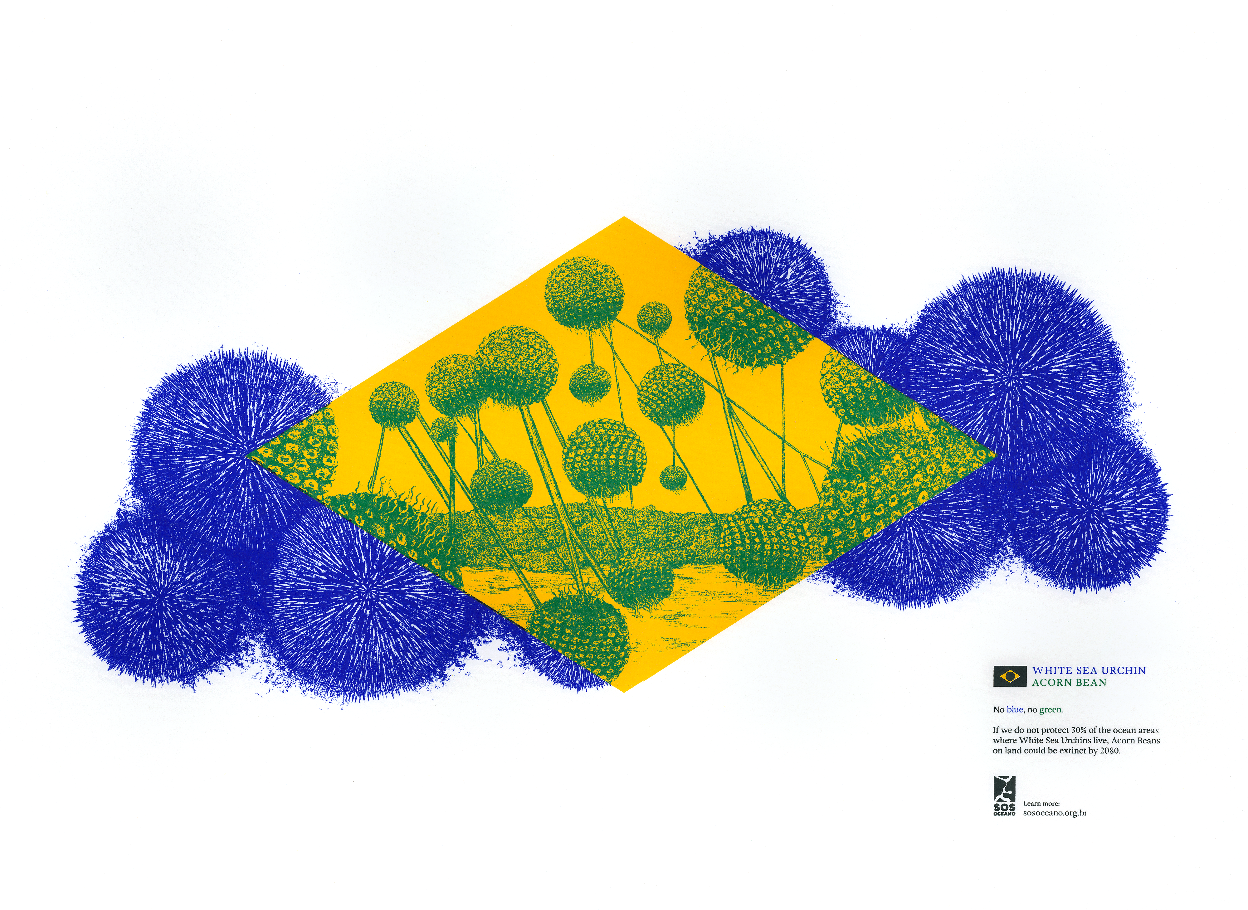 Brazilian flag reimagined for a campaign to raise awareness of ocean conservation