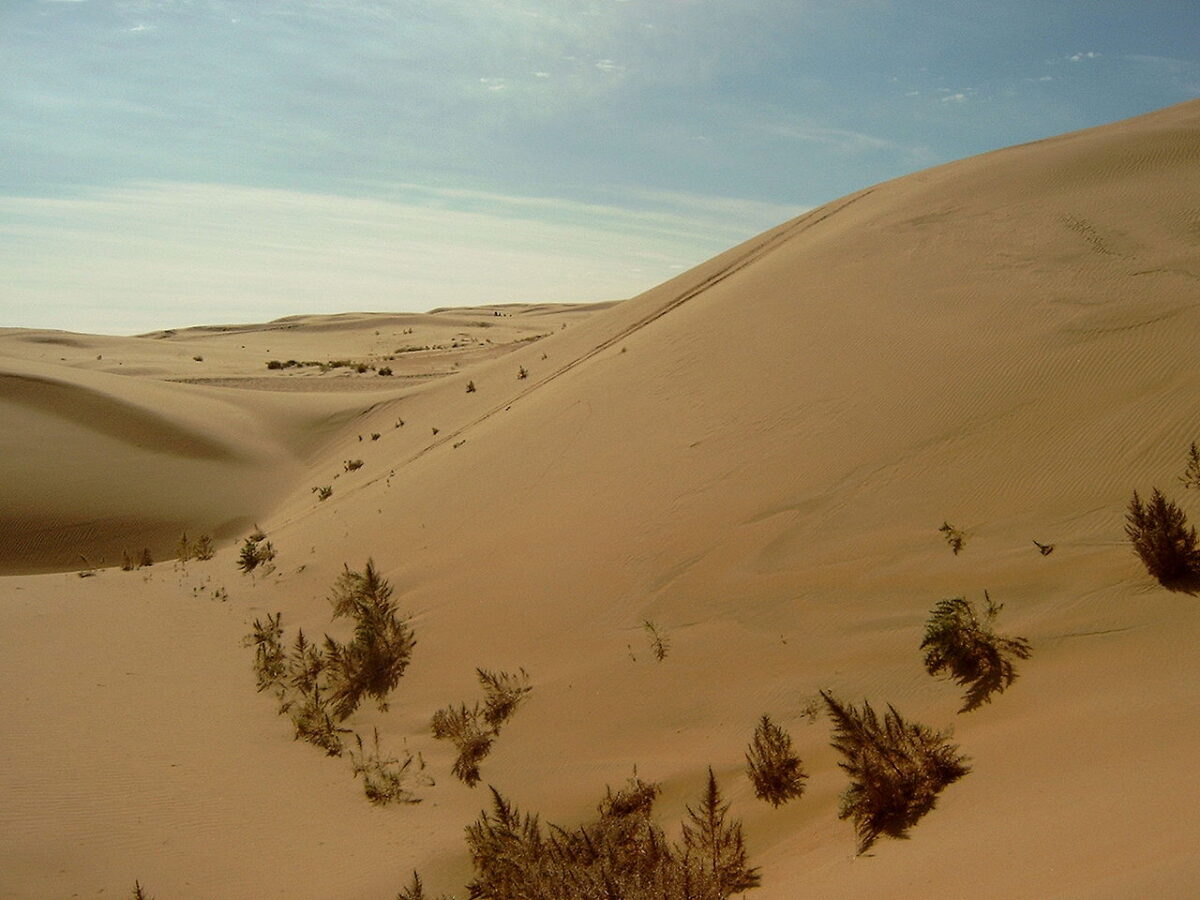Two-year testing shows how PV plants increase local temperatures in semi-arid regions – pv magazine International