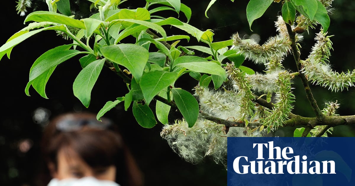 The climate crisis is making our hay fever worse – and affecting our enjoyment of nature | Environment