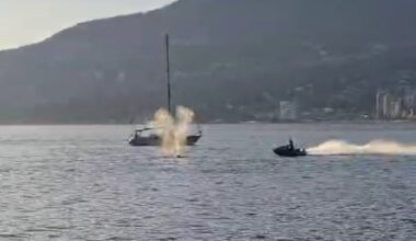 Grey whale struck by Sea-Doo in Vancouver appears uninjured, 'acting normal,' says researcher