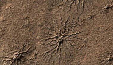 Spider-shaped features in the south polar region of Mars, captured by NASA