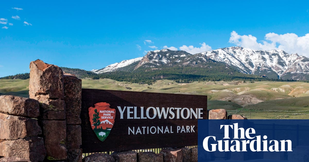 Trump administration relaxing hunting restrictions in US parks and refuges | Trump administration