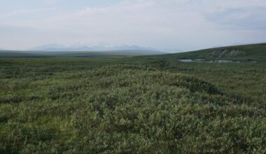 State of Alaska could spend nearly $200M on oil exploration, leasing in Arctic refuge