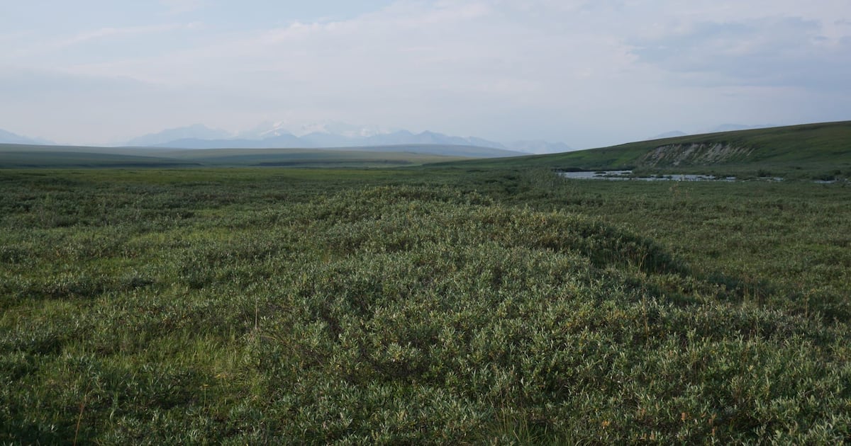 State of Alaska could spend nearly $200M on oil exploration, leasing in Arctic refuge