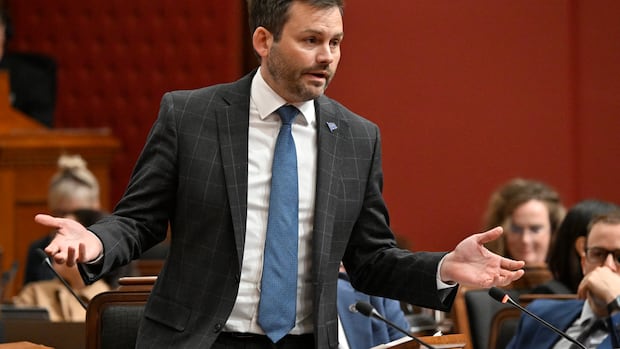 Parti Québécois leader concerned Ottawa spying on his party, but has no proof