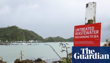‘How are we going to survive this?’ Wellington faces six-month wait to halt sewage spill | New Zealand