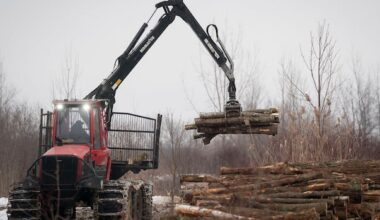 Program aims to help B.C. forestry workers in need of mental health support