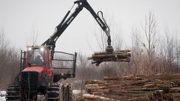 Program aims to help B.C. forestry workers in need of mental health support