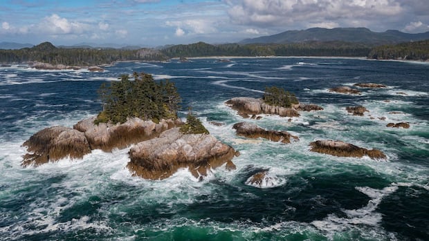 New protected marine reserve, larger than P.E.I., to be established on B.C.'s Central Coast