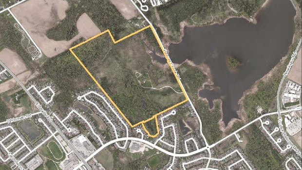 Waterloo to purchase 50-hectare plot of land from GRCA to preserve 'environmentally significant lands'