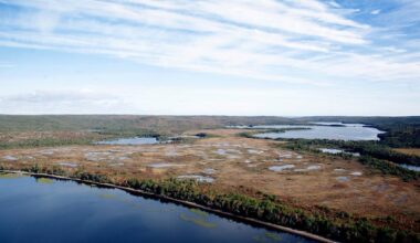 N.S creating new nature reserve in Digby County, eyeing 3 more across province