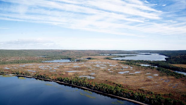 N.S creating new nature reserve in Digby County, eyeing 3 more across province