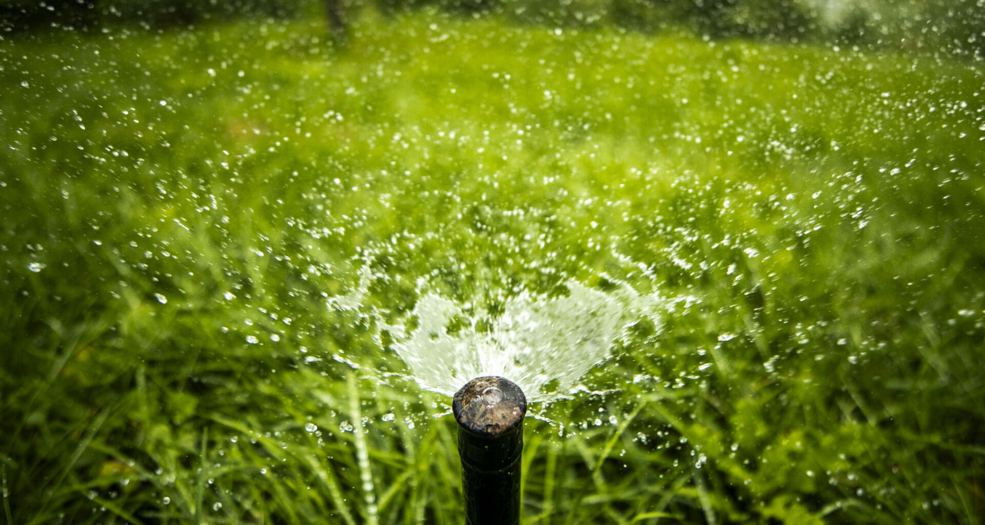Snitch on your water-wasting neighbors with this new Denver Water form