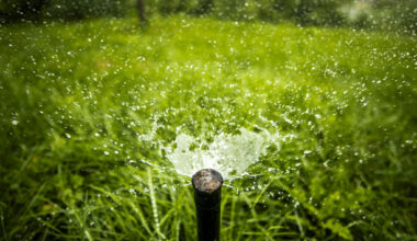 Snitch on your water-wasting neighbors with this new Denver Water form
