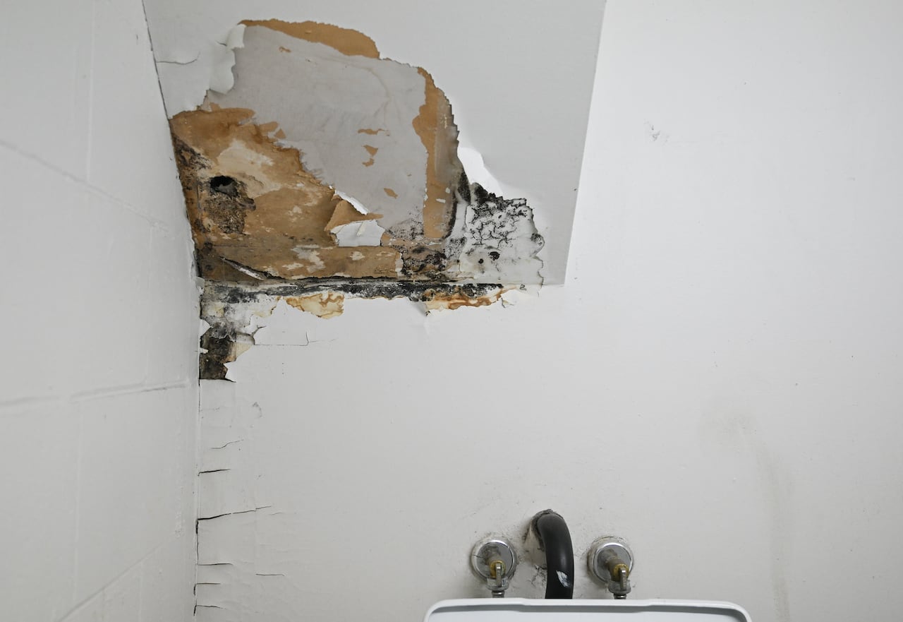 Black mould is shown in the laundry room of a social housing complex in Montreal, on Wednesday, May 13, 2026.