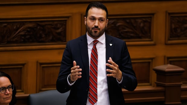 Ajax MPP Rob Cerjanec enters Ontario Liberal leadership race