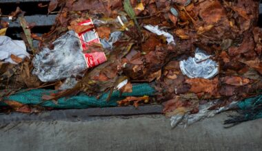 Queensland single-use plastics: Environmental campaigners warn state is falling behind on waste reduction targets