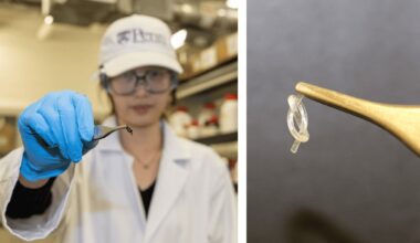 Tiny knotted fibre leaps into the air like a springtail bug – Physics World