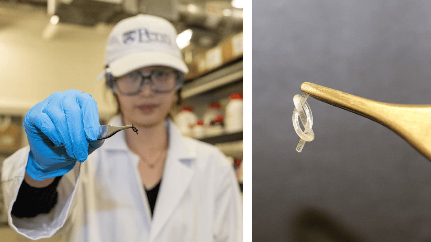 Tiny knotted fibre leaps into the air like a springtail bug – Physics World