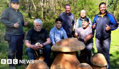 Round Howe Wood gets picnic tables and animal sculptures - BBC