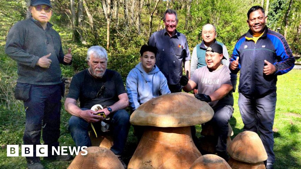 Round Howe Wood gets picnic tables and animal sculptures - BBC
