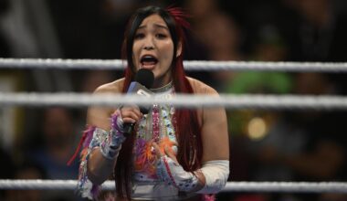 WWE Stars Iyo Sky and Naraku Get Married, Check Out Photos from Wedding