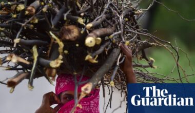 Public health at risk across Asia as price of gas for cooking soars | India