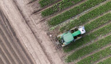 The Iran war’s unexpected victims: American farmers