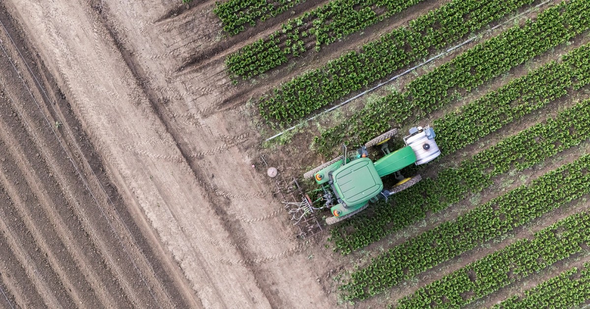 The Iran war’s unexpected victims: American farmers
