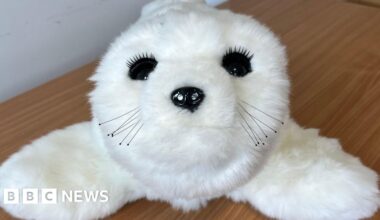 Robot seal to help mental health patients in Kent and Medway - BBC