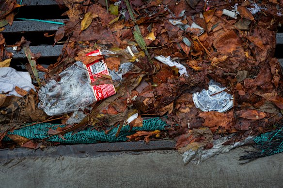Hutcheon said single-use plastics used outside the home lead to the most litter. 