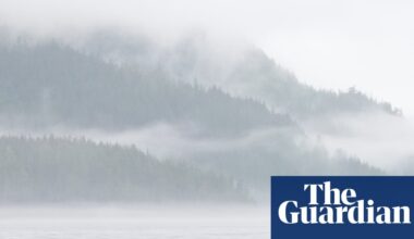Orcas could be casualty in Carney’s push for pipeline, environmental groups fear | Canada