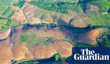 Brazil’s Atlantic forest records lowest deforestation in 40 years | Brazil