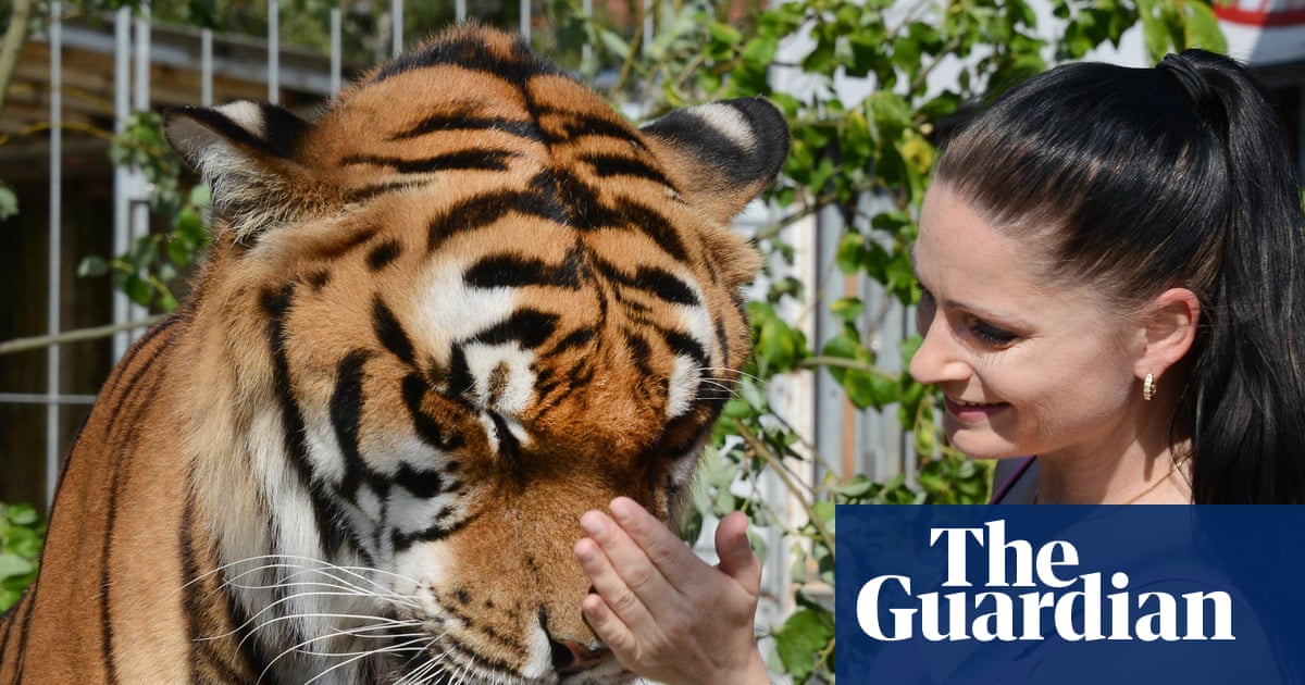 Escape of big cat belonging to Germany’s ‘Tiger Queen’ shatters peace of small town | Germany