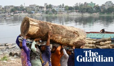 Cut borrowing costs for poorer countries to free up $900bn for development – report | Debt relief