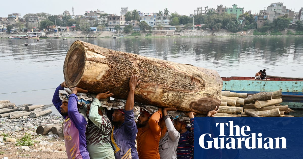 Cut borrowing costs for poorer countries to free up $900bn for development – report | Debt relief