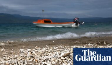 UN’s climate crisis vote shows political momentum is growing, say experts | Climate crisis