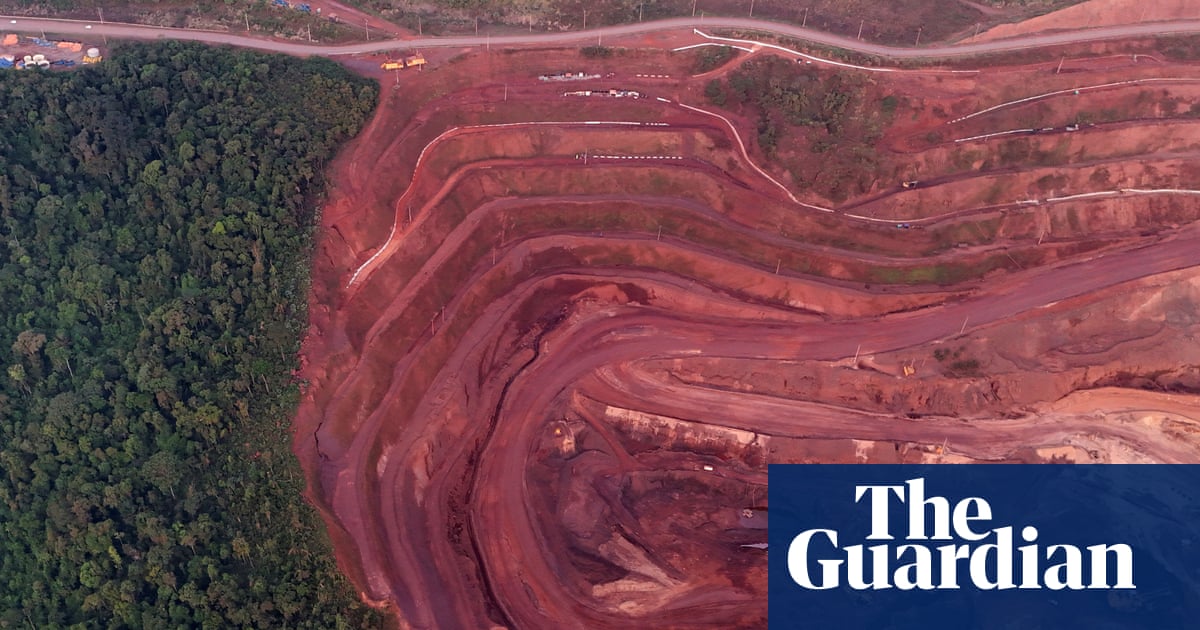 Rainforests pushed to breaking point by new demands for resources, report says | Deforestation