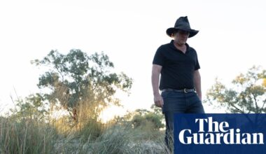 ‘We don’t hear the frogs, we don’t see the birds’: government repeatedly delayed water to NSW wetlands, documents reveal | Wetlands