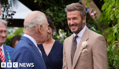 Beckham rose unveiled after daughter's request - BBC