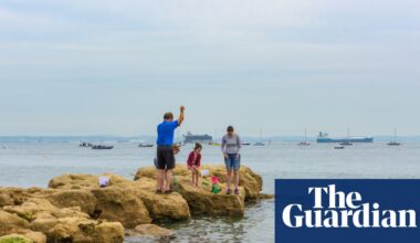 High levels of toxic ‘forever chemicals’ found off coast of southern England | Marine life