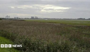 A shot, from a distance, of the former ICI works in Thornton-Cleveleys. It can be seen on the horizon over marshland.