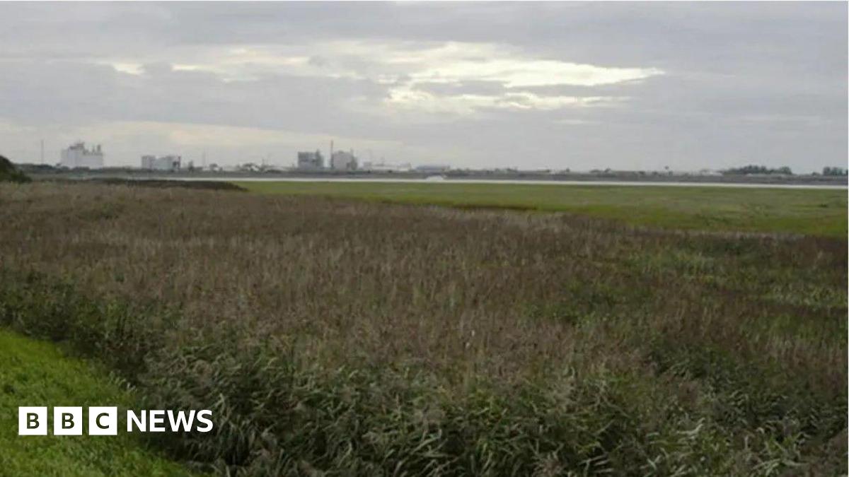 A shot, from a distance, of the former ICI works in Thornton-Cleveleys. It can be seen on the horizon over marshland.