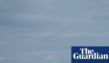 Coyote swam 2 miles to Alcatraz Island, going farther than scientists expected | San Francisco